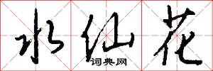 水仙花怎么写好看