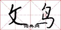 文鸟怎么写好看