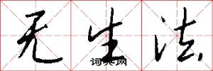 无生法怎么写好看