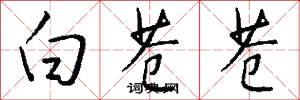 白苍苍怎么写好看
