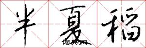 半夏稻怎么写好看
