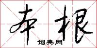 本根怎么写好看