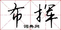 布挥怎么写好看