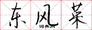 东风菜怎么写好看