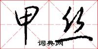 甲丝怎么写好看