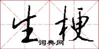 生梗怎么写好看