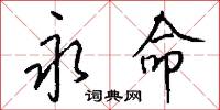 永命怎么写好看