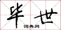 毕世怎么写好看