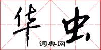 华虫怎么写好看