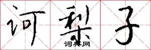诃梨子怎么写好看