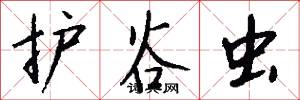 护谷虫怎么写好看