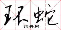 环蛇怎么写好看