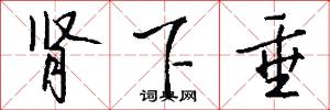 肾下垂怎么写好看