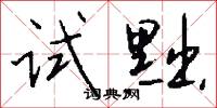 试黜怎么写好看