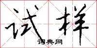 试样怎么写好看