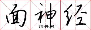面神经怎么写好看