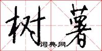 树薯怎么写好看