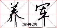 养军怎么写好看