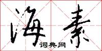 海素怎么写好看