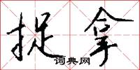 捉拿怎么写好看