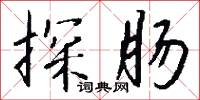 探肠怎么写好看