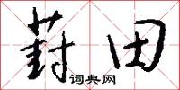 葑田怎么写好看