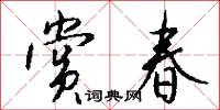 赏春怎么写好看