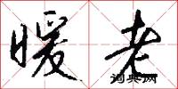 暖老怎么写好看