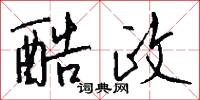 酷政怎么写好看