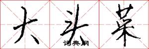 大头菜怎么写好看