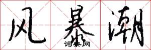 风暴潮怎么写好看