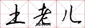 土老儿怎么写好看
