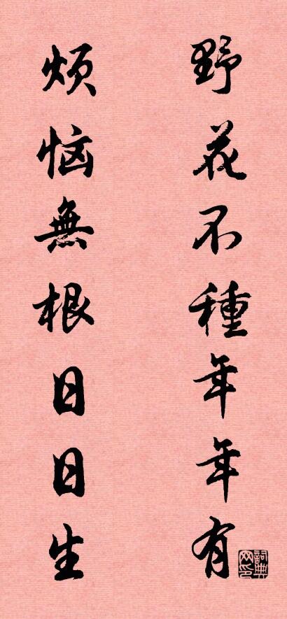 野花不种年年有 烦恼无根日日生对联书法作品欣赏
