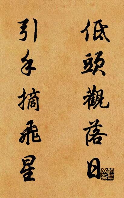 低头观落日 引手摘飞星对联书法作品欣赏