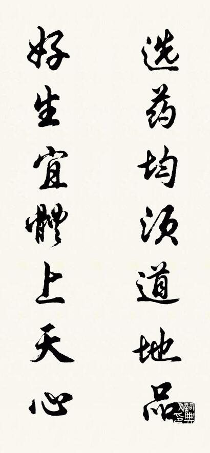 选药均须道地品 好生宜体上天心对联书法作品欣赏