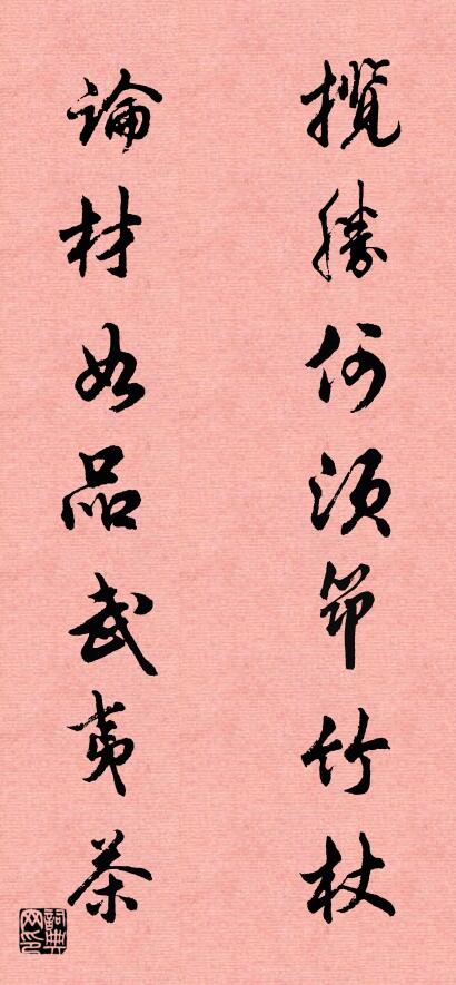 揽胜何须筇竹杖 论材如品武夷茶对联书法作品欣赏