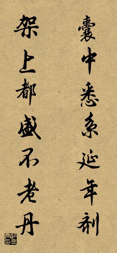 囊中悉系延年剂 架上都盛不老丹对联书法作品欣赏