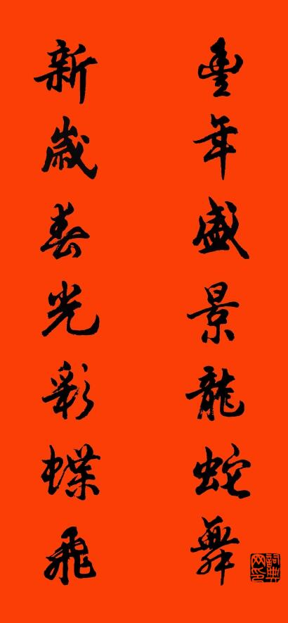 丰年盛景龙蛇舞 新岁春光彩蝶飞对联书法作品欣赏