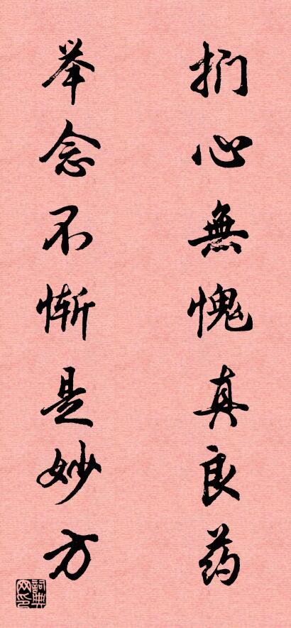 扪心无愧真良药 举念不惭是妙方对联书法作品欣赏
