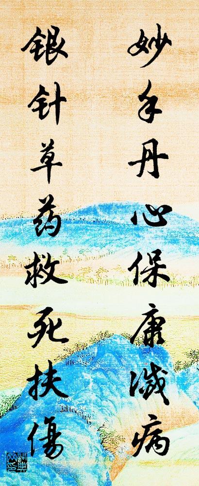 妙手丹心保康灭病 银针草药救死扶伤对联书法作品欣赏