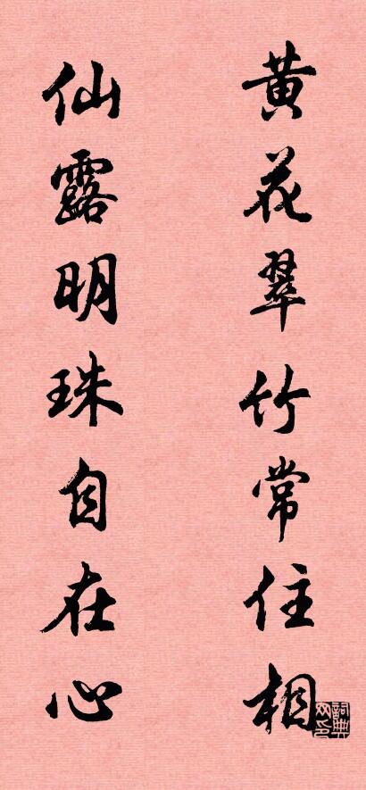 黄花翠竹常住相 仙露明珠自在心对联书法作品欣赏