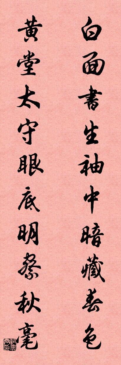 白面书生，袖中暗藏春色；对联书法作品欣赏