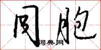同胞怎么写好看