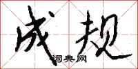 成规怎么写好看