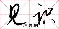 见识怎么写好看
