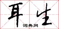 耳生怎么写好看