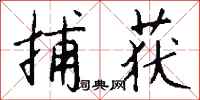 捕获怎么写好看