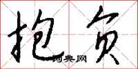 抱负怎么写好看