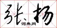 张扬怎么写好看