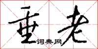 垂老怎么写好看